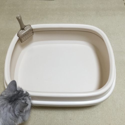 クエン酸　トイレ掃除　猫