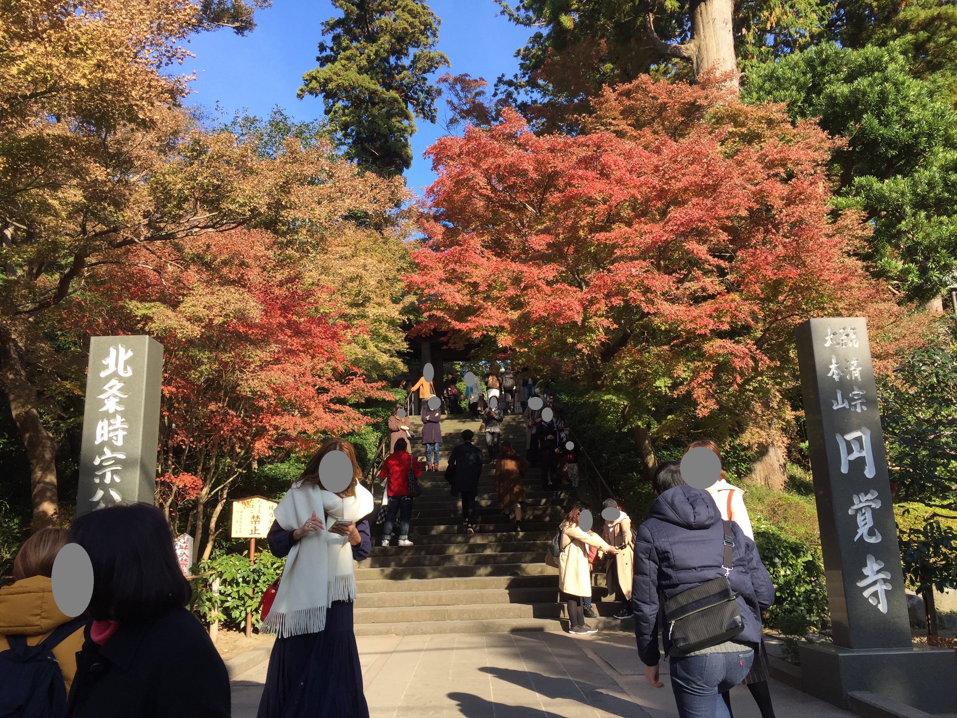 18年現在 鎌倉 円覚寺の紅葉を見てきました ゆうきyukiの巣