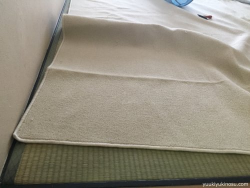 猫　ペット　畳の上　カーペット　おすすめ　下に　もぐる　固定　タイルカーペット