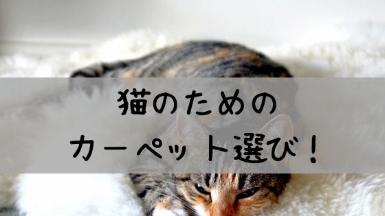 猫　カーペット　ペット　タイルカーペット　おすすめ　洗える　掃除　爪とぎ　安い　嘔吐　対策