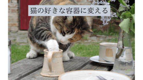 猫が水を飲まない　与え方　飲ませ方　対策　高さ　台　病気　血尿　結石　摂取量　工夫　注射器　スポイト　給水器　器　陶器