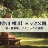 神奈川 横浜　三ッ池公園　駐車場　桜　花見　混雑　ピクニック