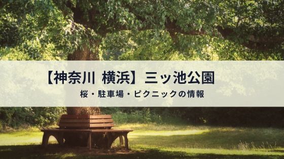 神奈川 横浜　三ッ池公園　駐車場　桜　花見　混雑　ピクニック